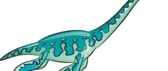 Как нарисовать динозавра Эласмозавр