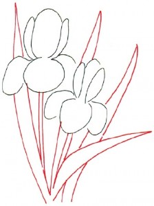 Как нарисовать цветы Ирисы поэтапно в 5 шагов. Шаг 2