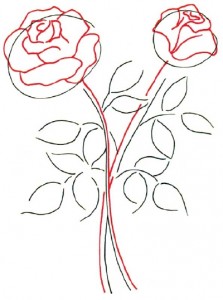 Как нарисовать Розы поэтапно в 5 шагов. Шаг 2