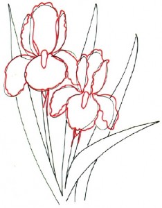 Как нарисовать цветы Ирисы поэтапно в 5 шагов. Шаг 3