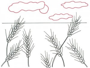 Как нарисовать Пшеничные поля поэтапно в 4 шага 4