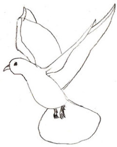 Как нарисовать голубя поэтапно в 5 шагов 5