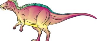 Как нарисовать динозавра Диозавр