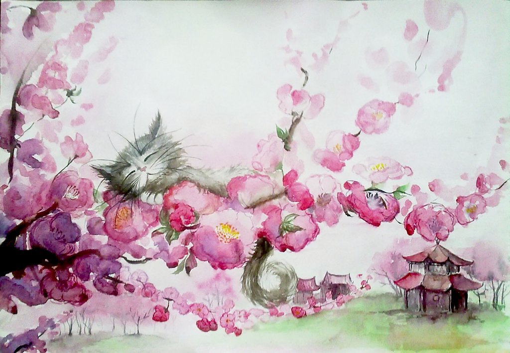 Цветущая сакура рисунок