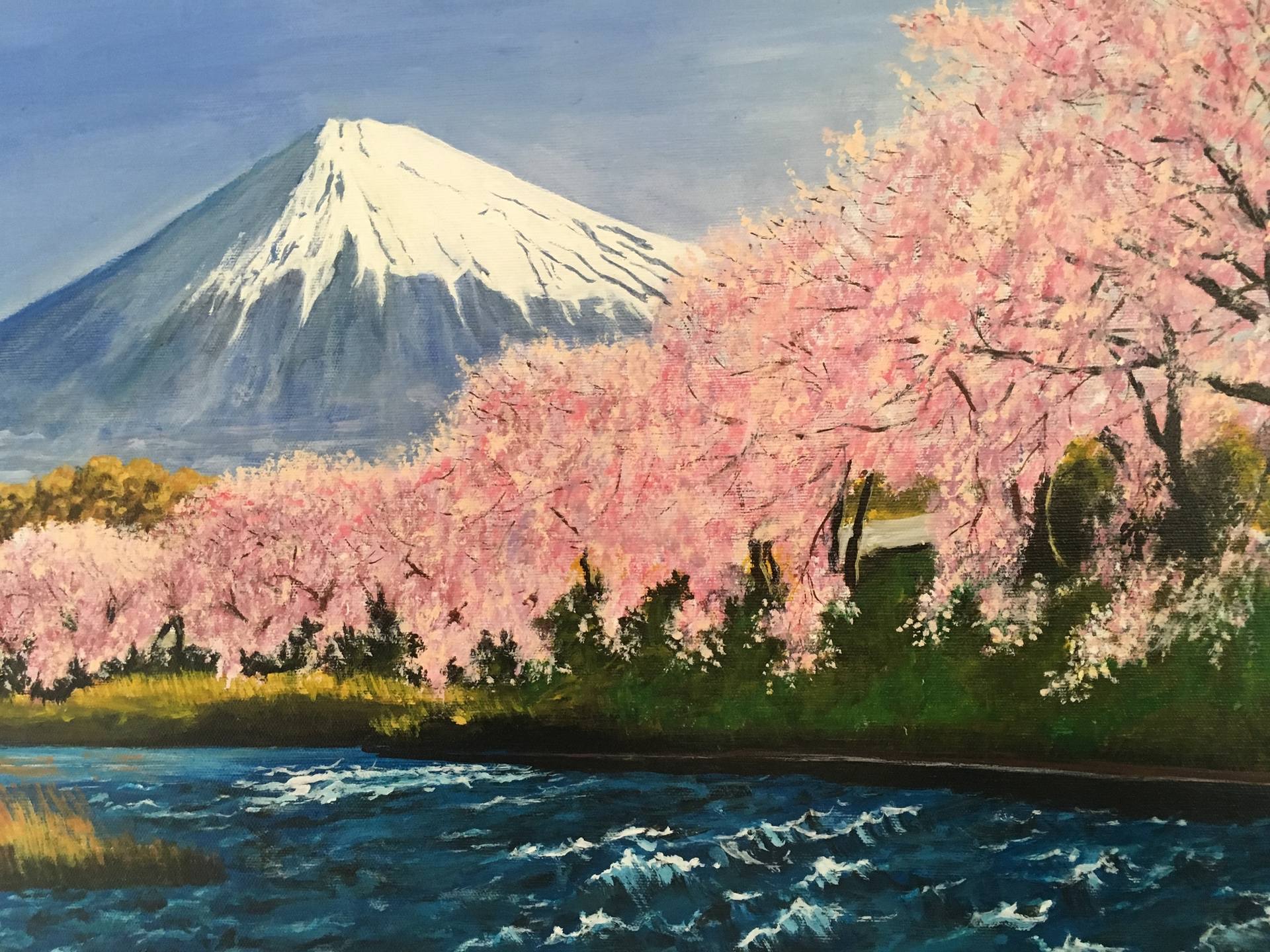 Сакура на фоне горы красками
