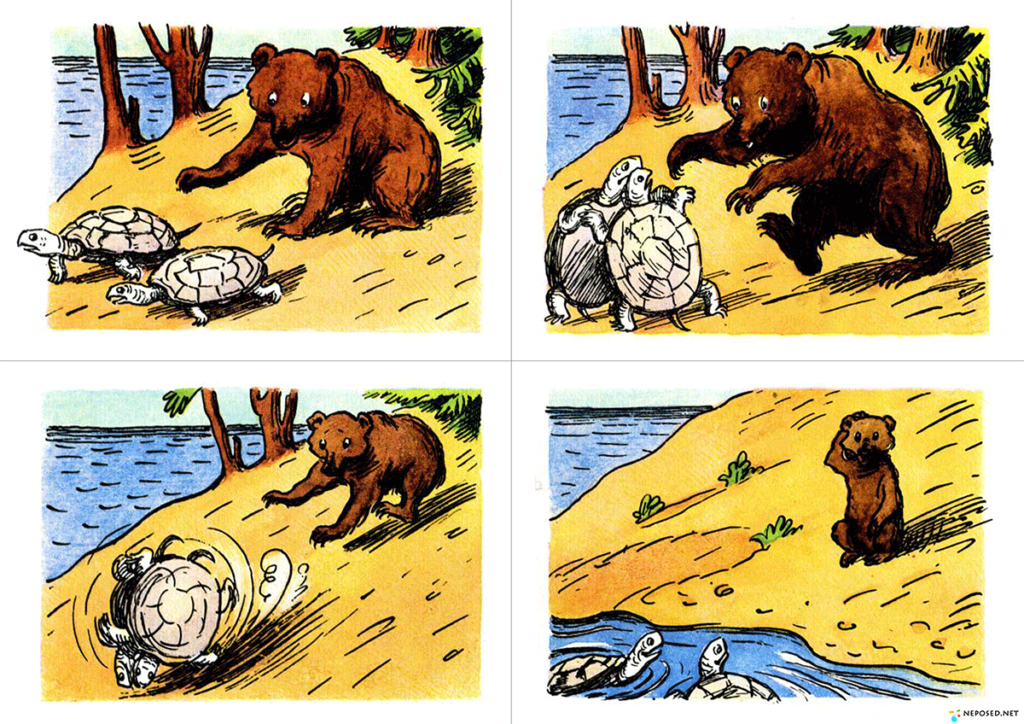 Сюжетная картинка Медведь и черепахи