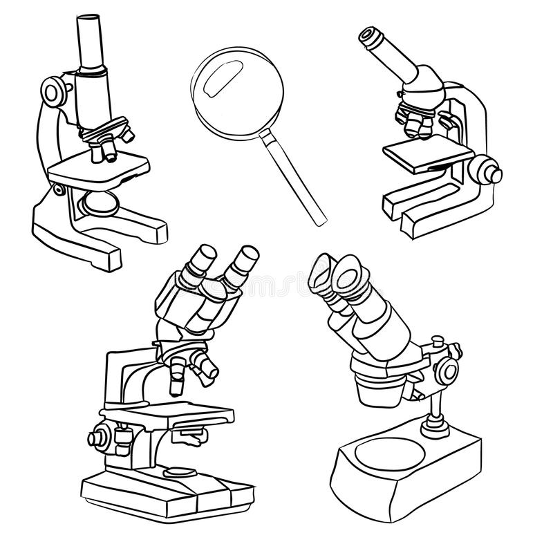 Виды микроскопов рисунок