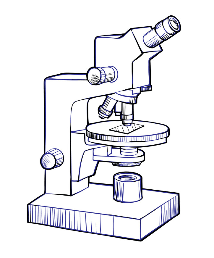 Микроскоп рисунок