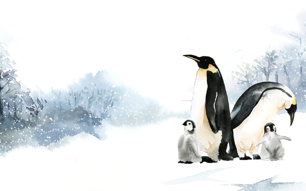 Рисунок пингвина акварелью