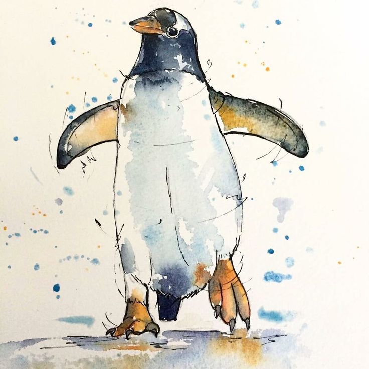 Рисунок пингвина акварелью