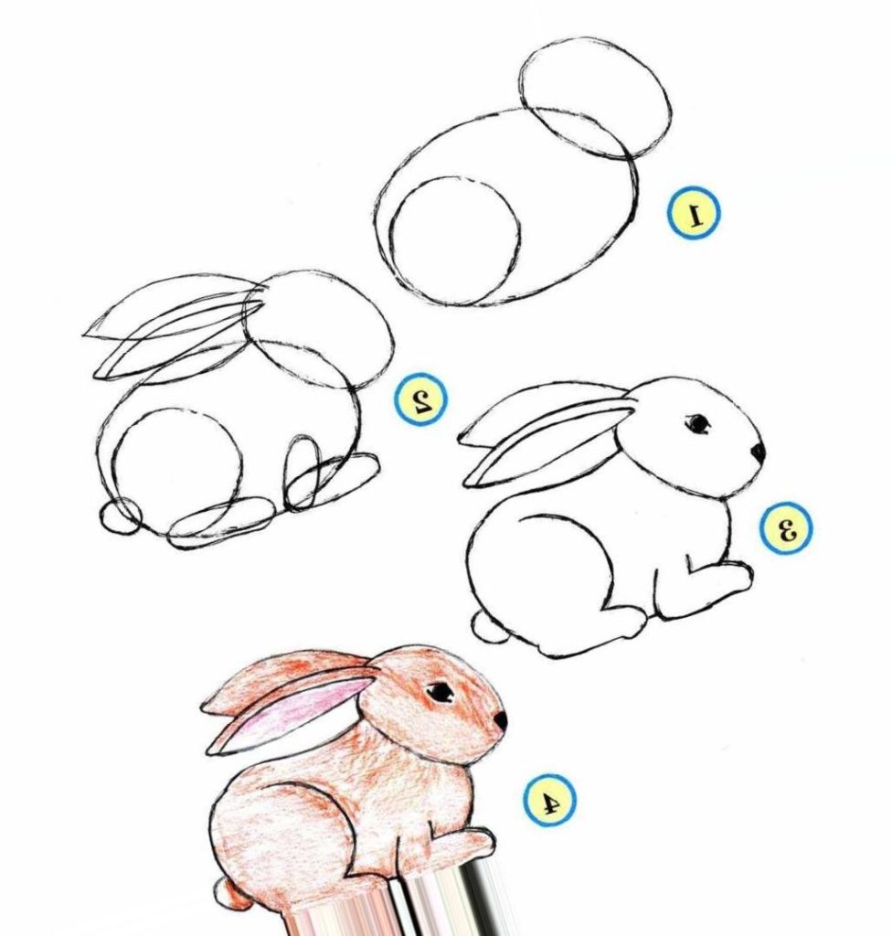 Рисунок кролика