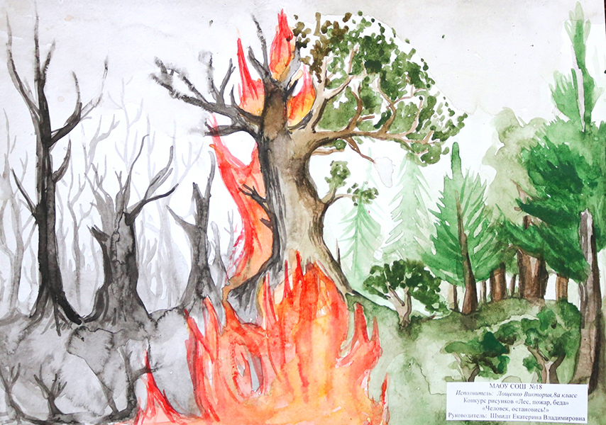 Рисунок огонь в лесу