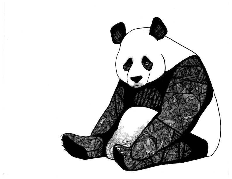 Простой рисунок панды для срисовки