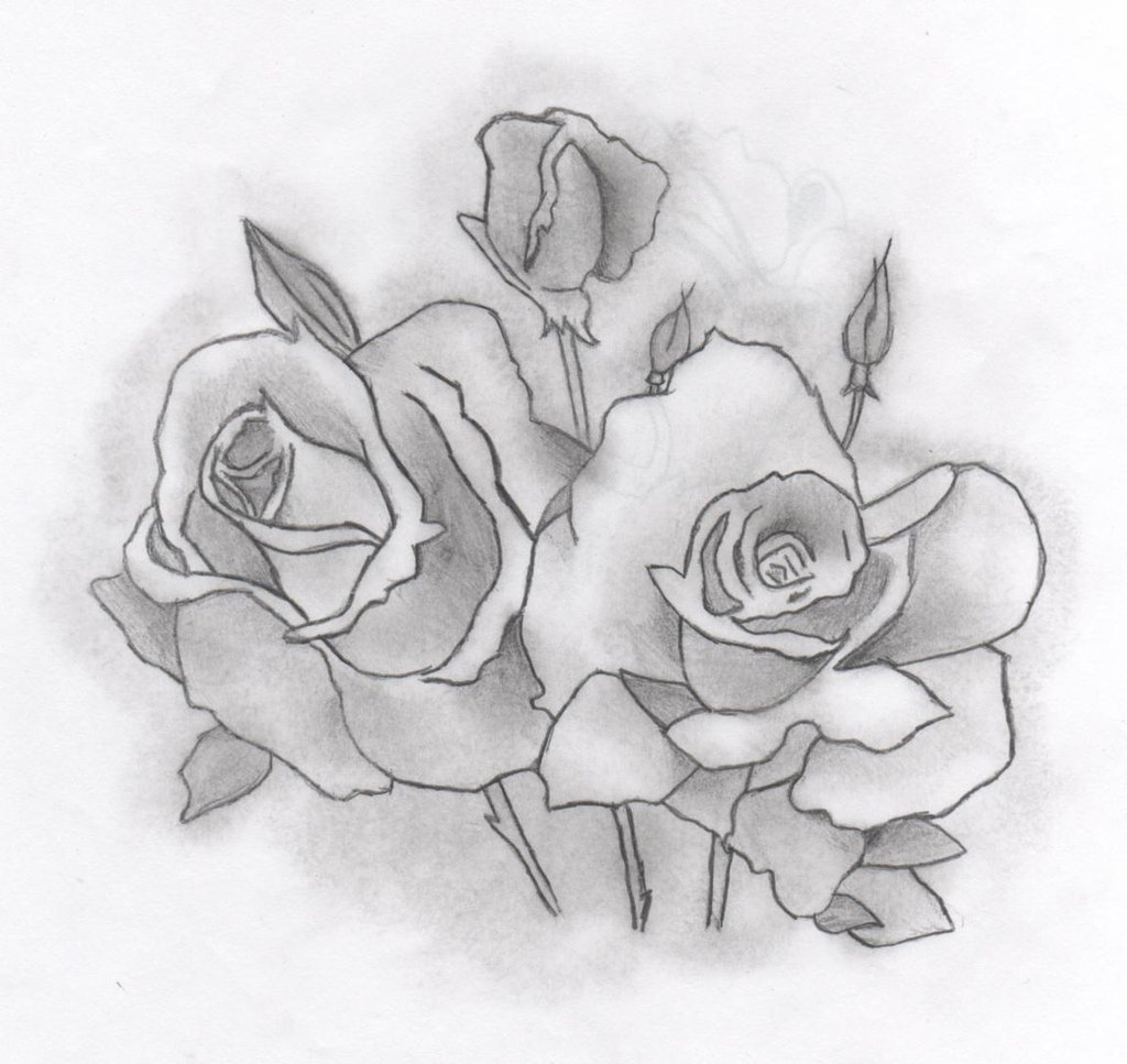Рисунок цветка карандашом
