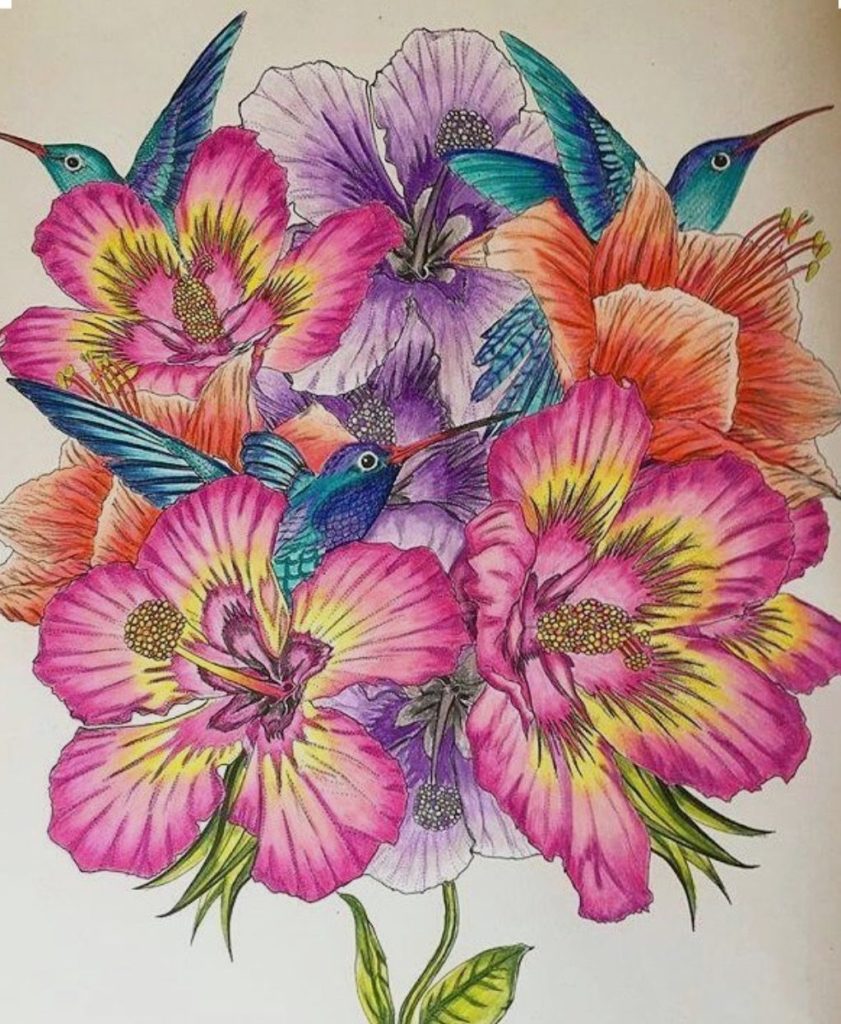Цветы карандашом
