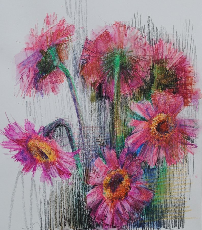 Цветы карандашом