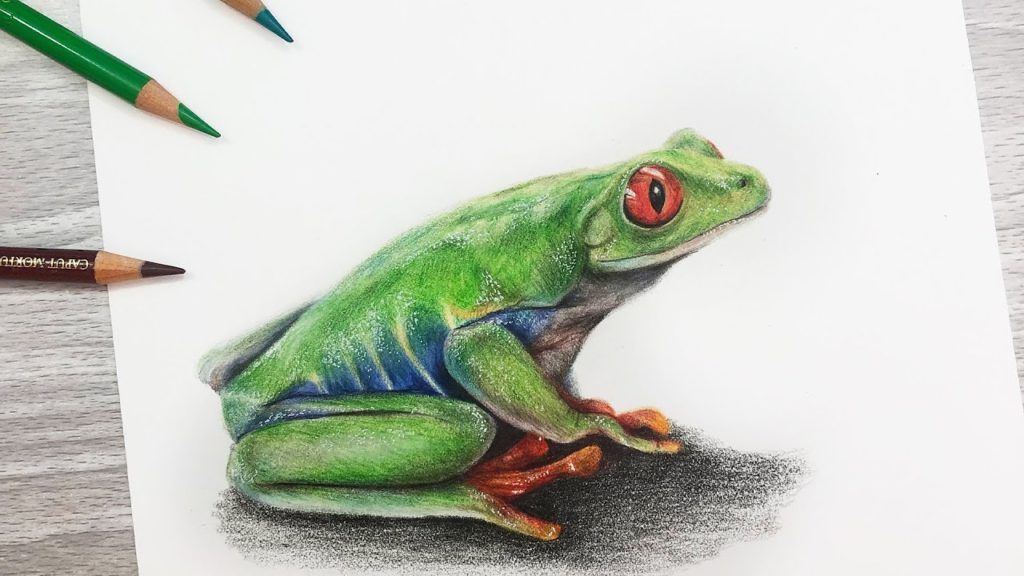 лягушка рисунок карандашом цветным