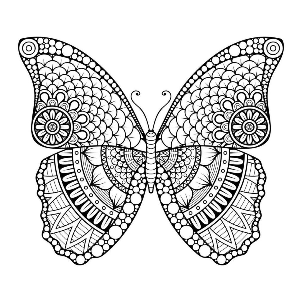 Раскраска бабочка антистресс