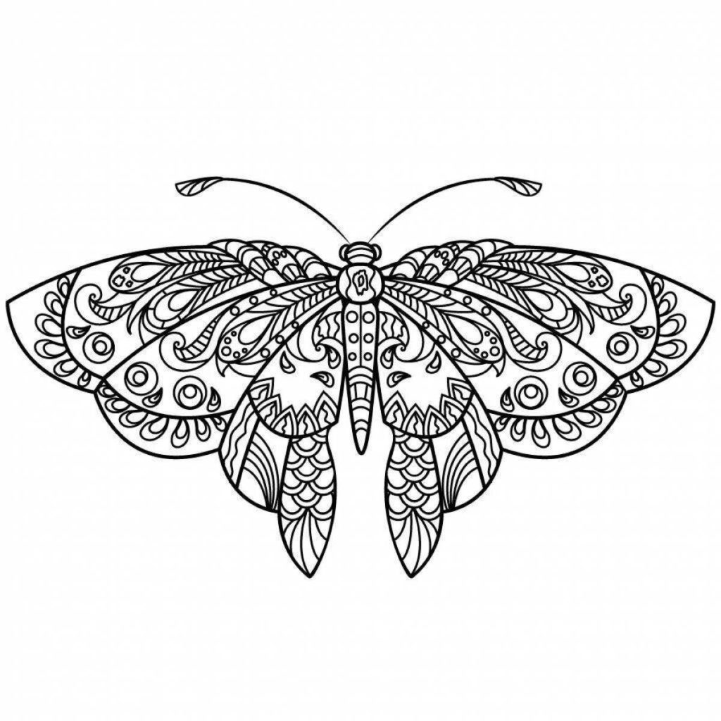 Раскраска бабочка антистресс