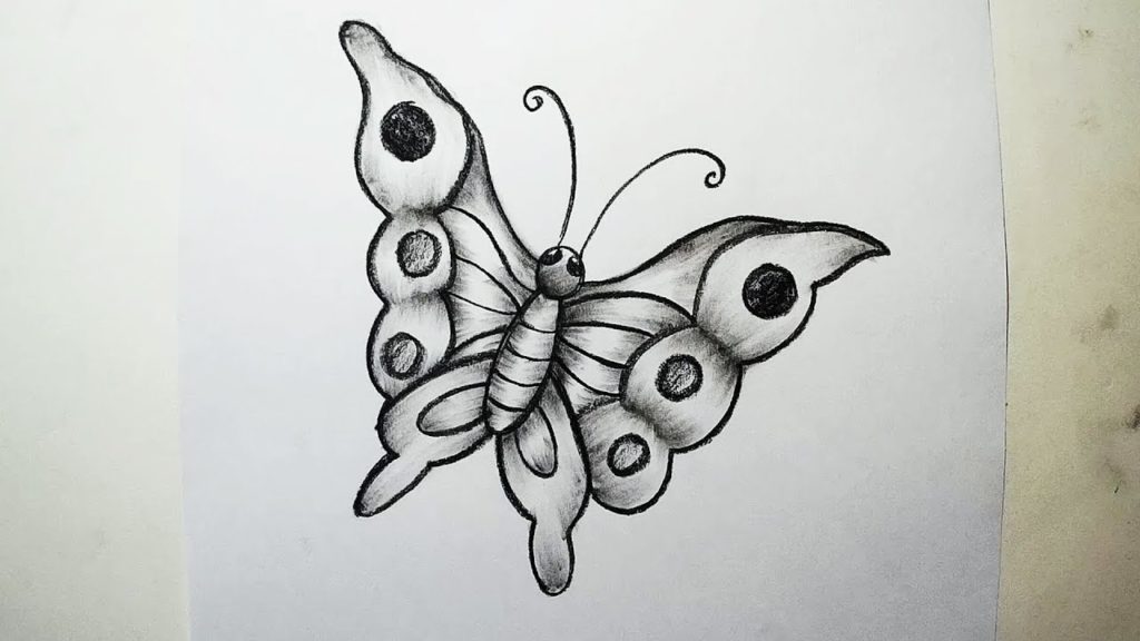 рисунок бабочки карандашом