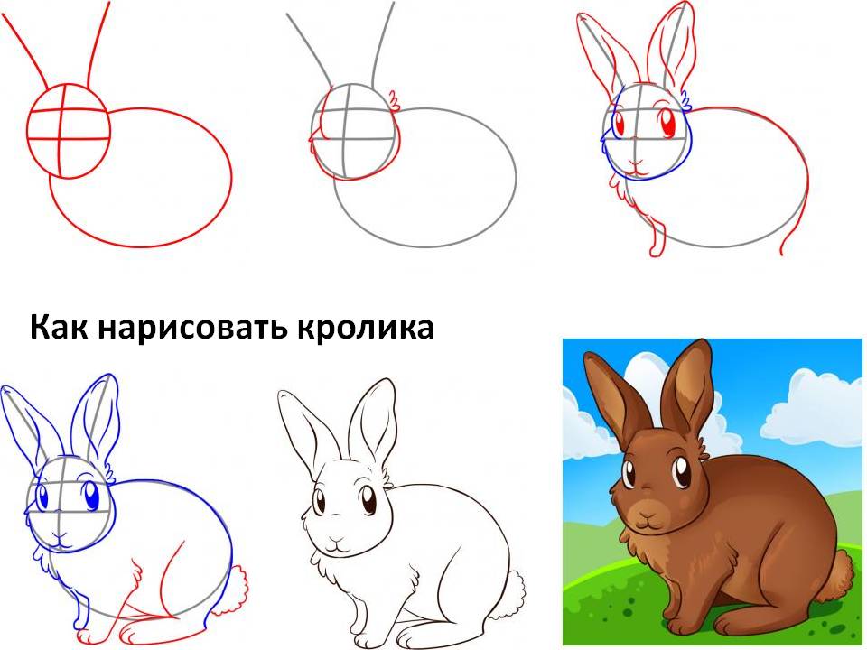 Рисунок кролика поэтапно